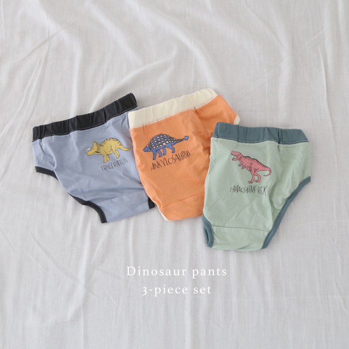 韓国子供服 恐竜のパンツ３枚セット 韓国子供服 雑貨のセレクトショップ Ah Mart
